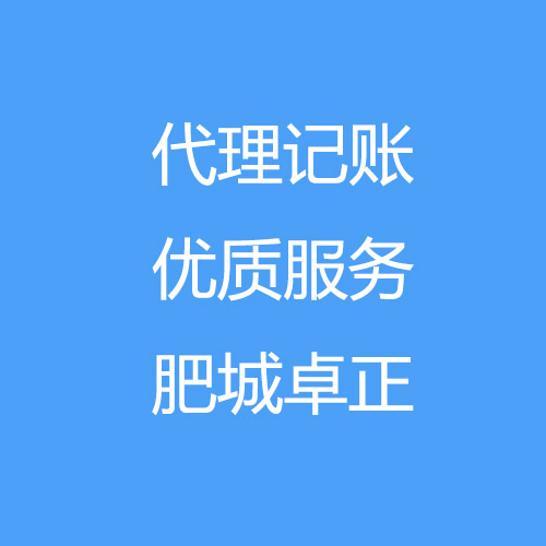 代理做賬，報(bào)稅，財(cái)務(wù)策劃，免費(fèi)注冊(cè)公司